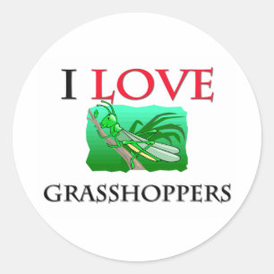 I Love Grasshoppers Classic Round Sticker