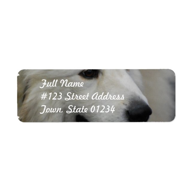 I Love Great Pyrenees Mailing Labels (Front)