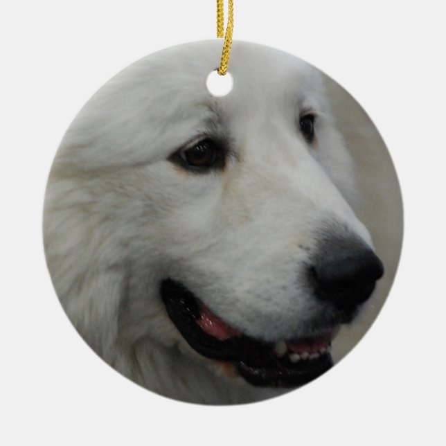 I Love Great Pyrenees Ornament (Front)