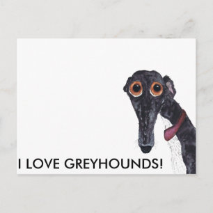 I LOVE GREYHOUNDS! POSTCARD