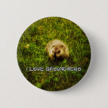 I love groundhogs button