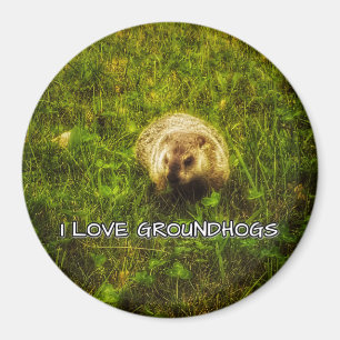 I love groundhogs magnet
