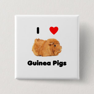 I love guinea pigs Button