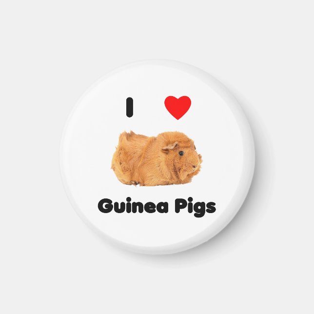 I love guinea pigs Magnet (Front)