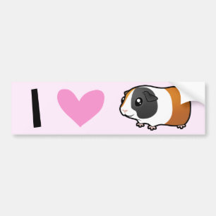 I Love Guinea Pigs (smooth) Bumper Sticker