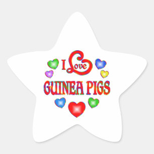 I Love Guinea Pigs Star Sticker