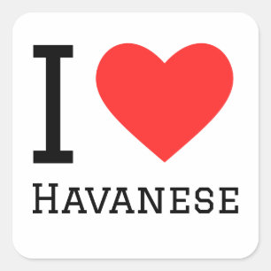 I love havanese  square sticker