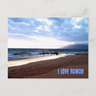I Love Hawaii postcard
