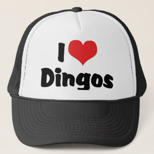 I Love Heart Dingos Trucker Hat