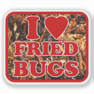 I Love (Heart) Fried Bugs / Edible Insects