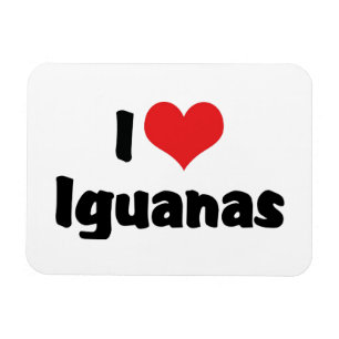 I Love Heart Iguanas - Lizard Lover Magnet
