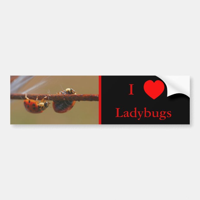 I Love Heart Ladybugs Nature  Bumper Sticker (Front)