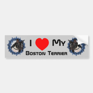 I Love Heart My Boston Terrier  Bumper Sticker