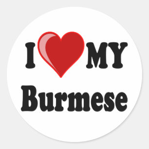 I Love (Heart) My Burmese Cat Classic Round Sticker