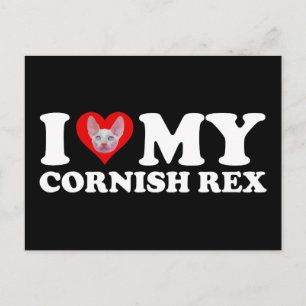 I Love (Heart) My Cornish Rex Postcard