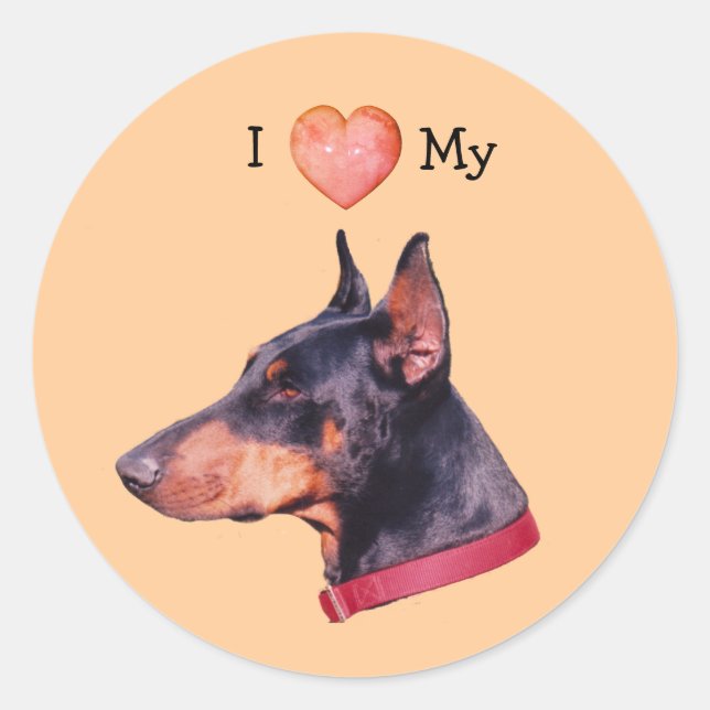 I Love Heart My Doberman Dog  Classic Round Sticker (Front)
