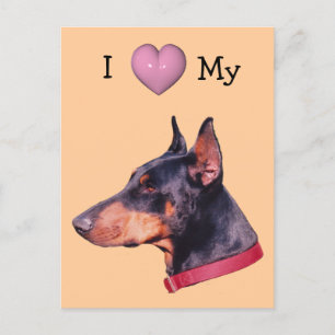 I Love Heart My Doberman Dog Postcard