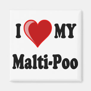 I Love (Heart) My Malti-Poo Dog Magnet