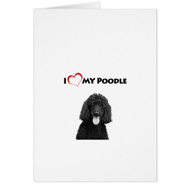 I Love Heart My Poodle (Front)