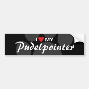 I Love (Heart) My Pudelpointer Bumper Sticker