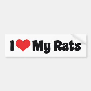 I Love Heart My Rats - Pet Rat Lover Bumper Sticker