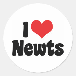 I Love Heart Newts Classic Round Sticker
