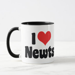 I Love Heart Newts Mug