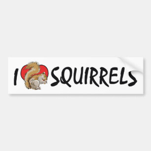 I Love Heart Squirrels - Squirrel Lover Bumper Sticker