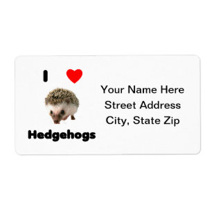 I love hedgehogs