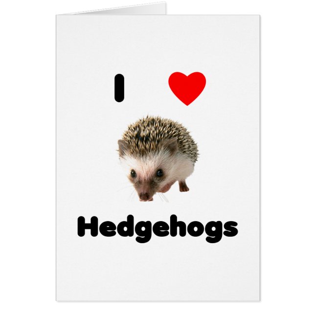 I love hedgehogs (Front)