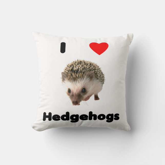 I love hedgehogs cushion (Front)