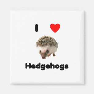 I love hedgehogs Magnet