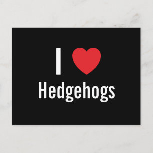 I love Hedgehogs Postcard