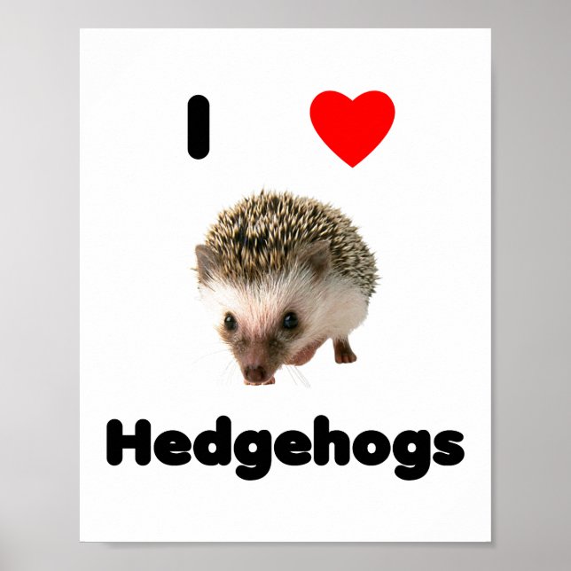 I love hedgehogs poster (Front)
