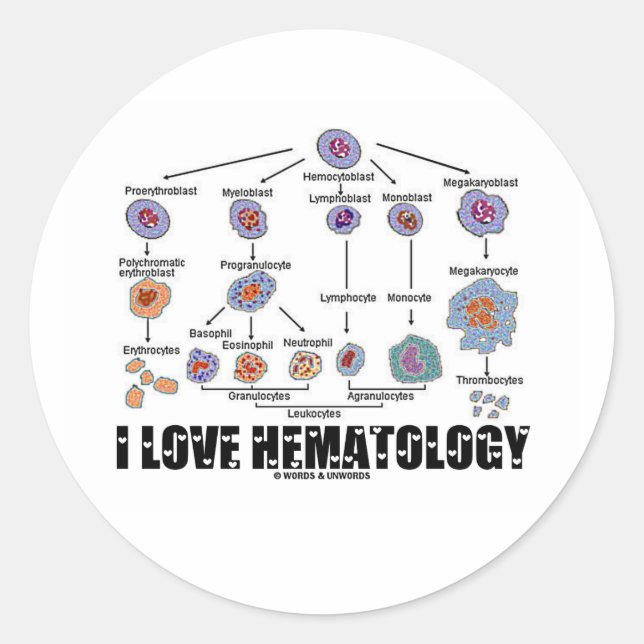 I Love Hematology (Blood Cell Lineage) Classic Round Sticker (Front)