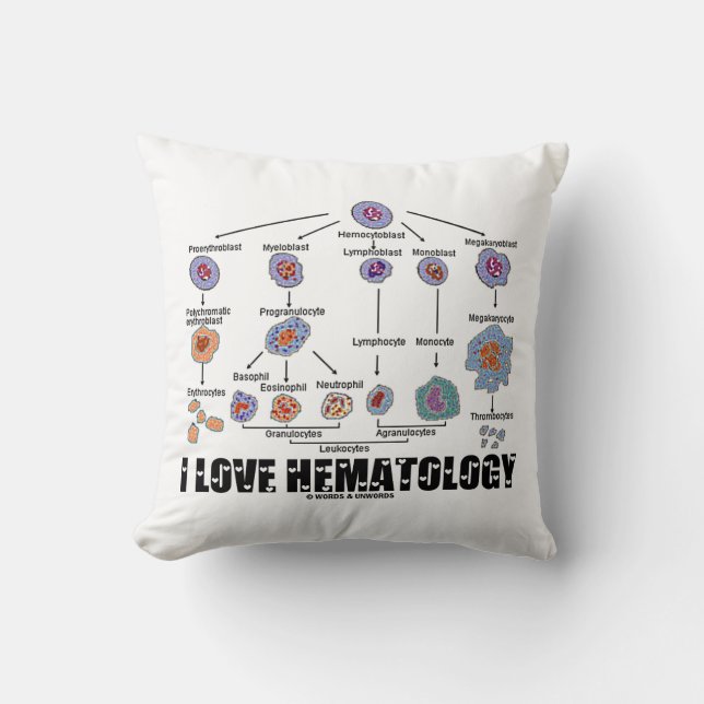 I Love Hematology Blood Cell Lineage Cushion (Front)
