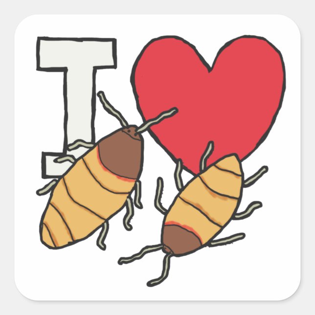 I Love Hissing Cockroaches Square Sticker (Front)