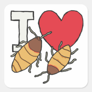 I Love Hissing Cockroaches Square Sticker