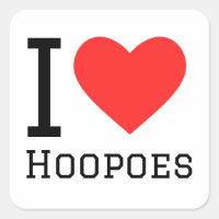I love hoopoes