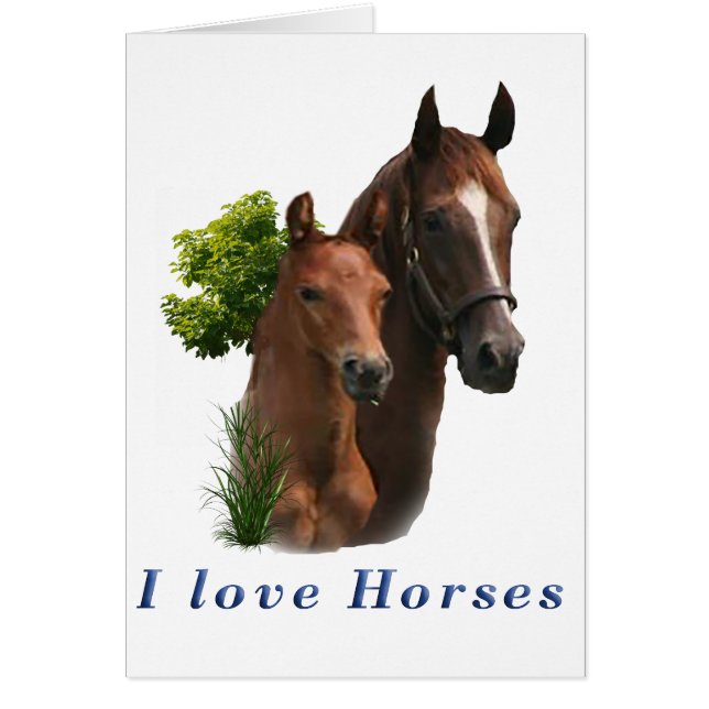 I love horses (Front)