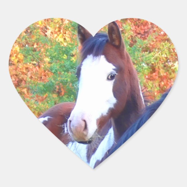 I Love Horses Heart Stickers (Front)