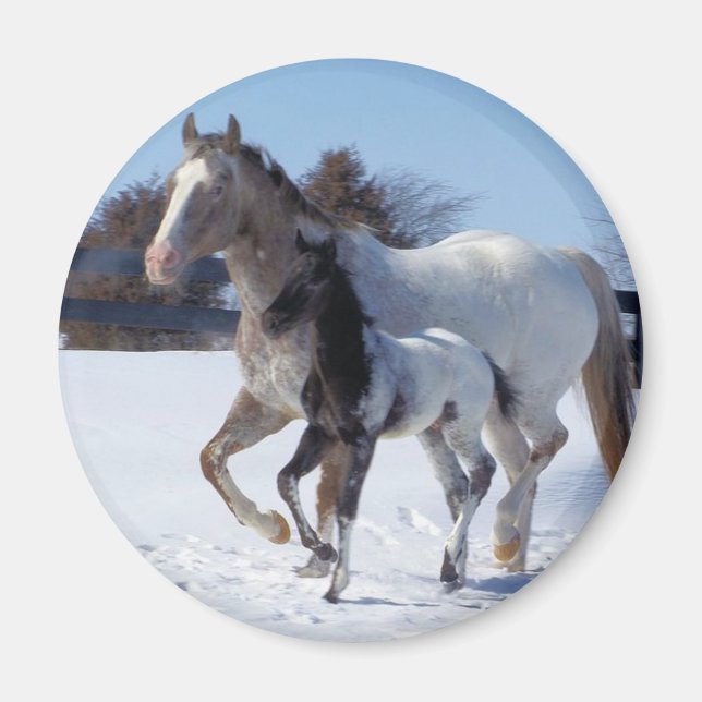 I LOVE HORSES MAGNET (Front)