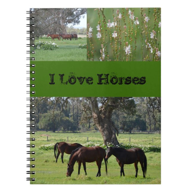 I love horses notebook (Front)