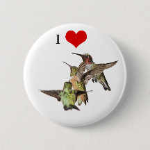 I Love Hummingbirds button