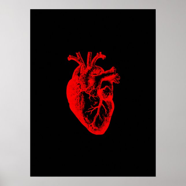 I love / I heart heart anatomy Poster (Front)