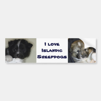 I love Icelandic Sheepdogs Bumper Sticker