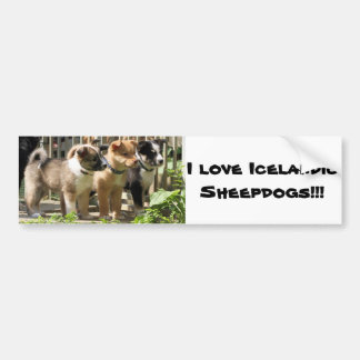 I love Icelandic Sheepdogs Bumper Sticker