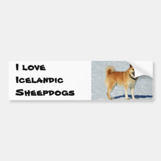 I love Icelandic Sheepdogs Bumper Sticker