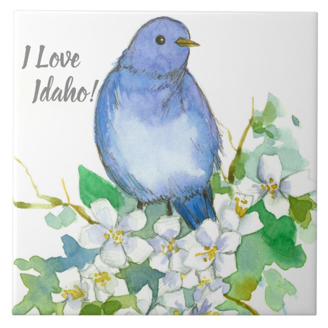 I Love Idaho Bluebird Syringa Wildflower Ceramic Tile (Front)