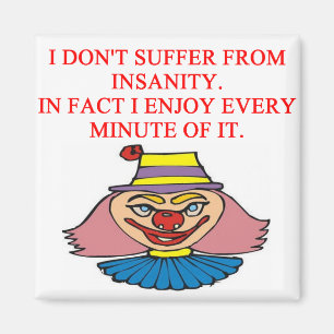 i love insanity magnet